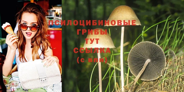 метадон Армянск