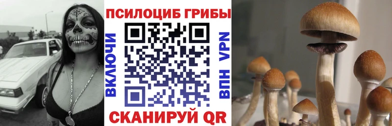 Псилоцибиновые грибы MAGIC MUSHROOMS  наркошоп  Североуральск 